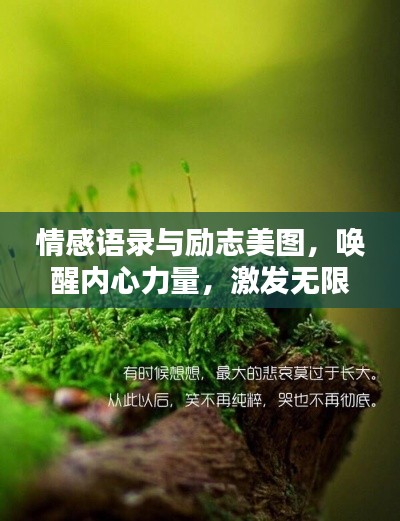 情感語錄與勵志美圖，喚醒內(nèi)心力量，激發(fā)無限潛能