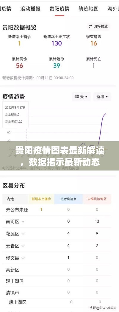 貴陽(yáng)疫情圖表最新解讀，數(shù)據(jù)揭示最新動(dòng)態(tài)