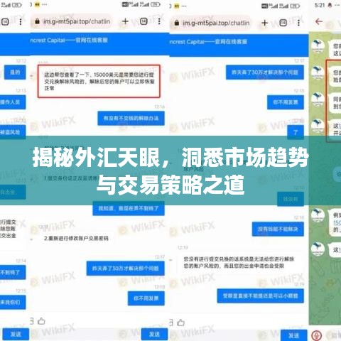 揭秘外匯天眼，洞悉市場趨勢與交易策略之道