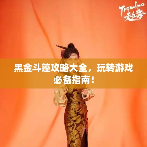 飛鳥依人 第2頁(yè)