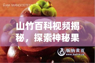 山竹百科視頻揭秘，探索神秘果實(shí)的奇妙之旅！