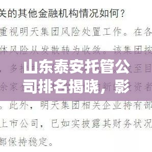 山東泰安托管公司排名揭曉，影響力深度剖析