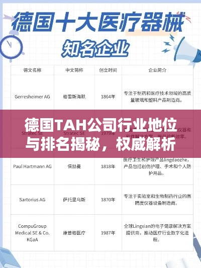 德國TAH公司行業(yè)地位與排名揭秘，權(quán)威解析引領(lǐng)關(guān)注焦點