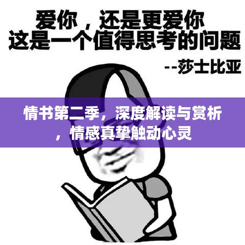 情書第二季，深度解讀與賞析，情感真摯觸動心靈