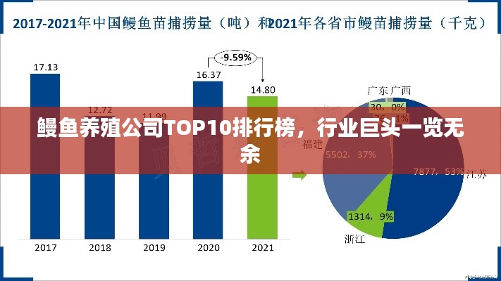 鰻魚養(yǎng)殖公司TOP10排行榜，行業(yè)巨頭一覽無(wú)余