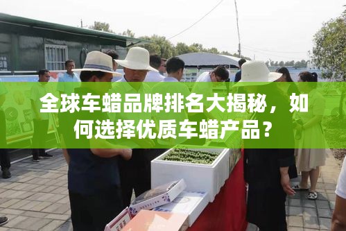 全球車蠟品牌排名大揭秘，如何選擇優(yōu)質(zhì)車蠟產(chǎn)品？
