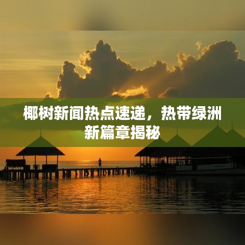 椰樹新聞熱點速遞，熱帶綠洲新篇章揭秘