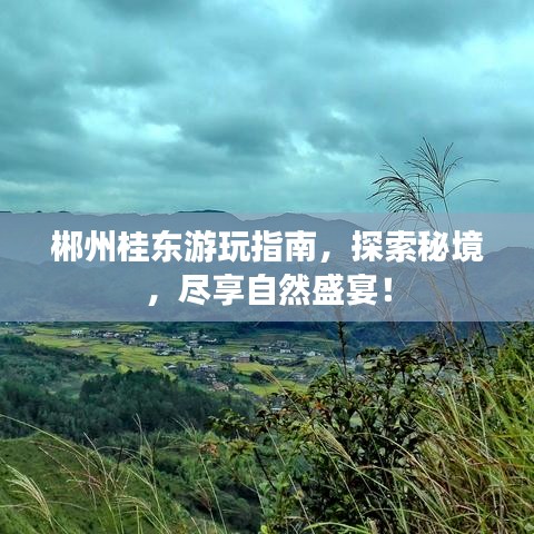 郴州桂東游玩指南，探索秘境，盡享自然盛宴！