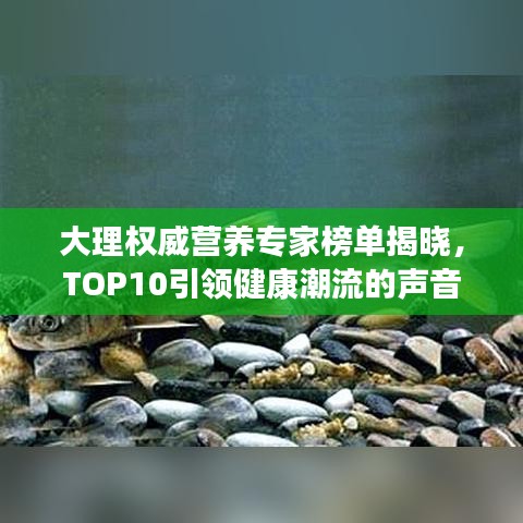 大理權(quán)威營養(yǎng)專家榜單揭曉，TOP10引領(lǐng)健康潮流的聲音