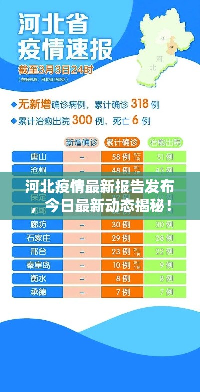 河北疫情最新報(bào)告發(fā)布，今日最新動(dòng)態(tài)揭秘！