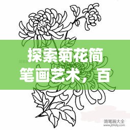 探索菊花簡筆畫藝術(shù)，百度上的創(chuàng)意手繪之旅