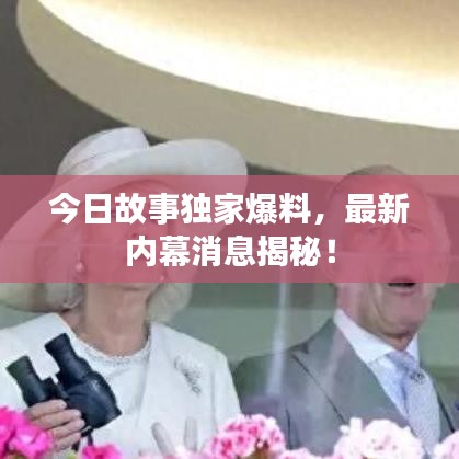 今日故事獨(dú)家爆料，最新內(nèi)幕消息揭秘！