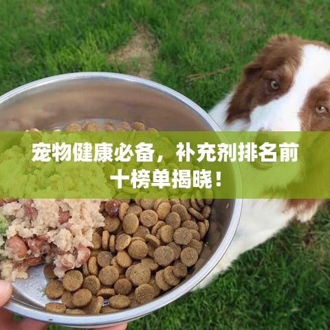 寵物健康必備，補(bǔ)充劑排名前十榜單揭曉！